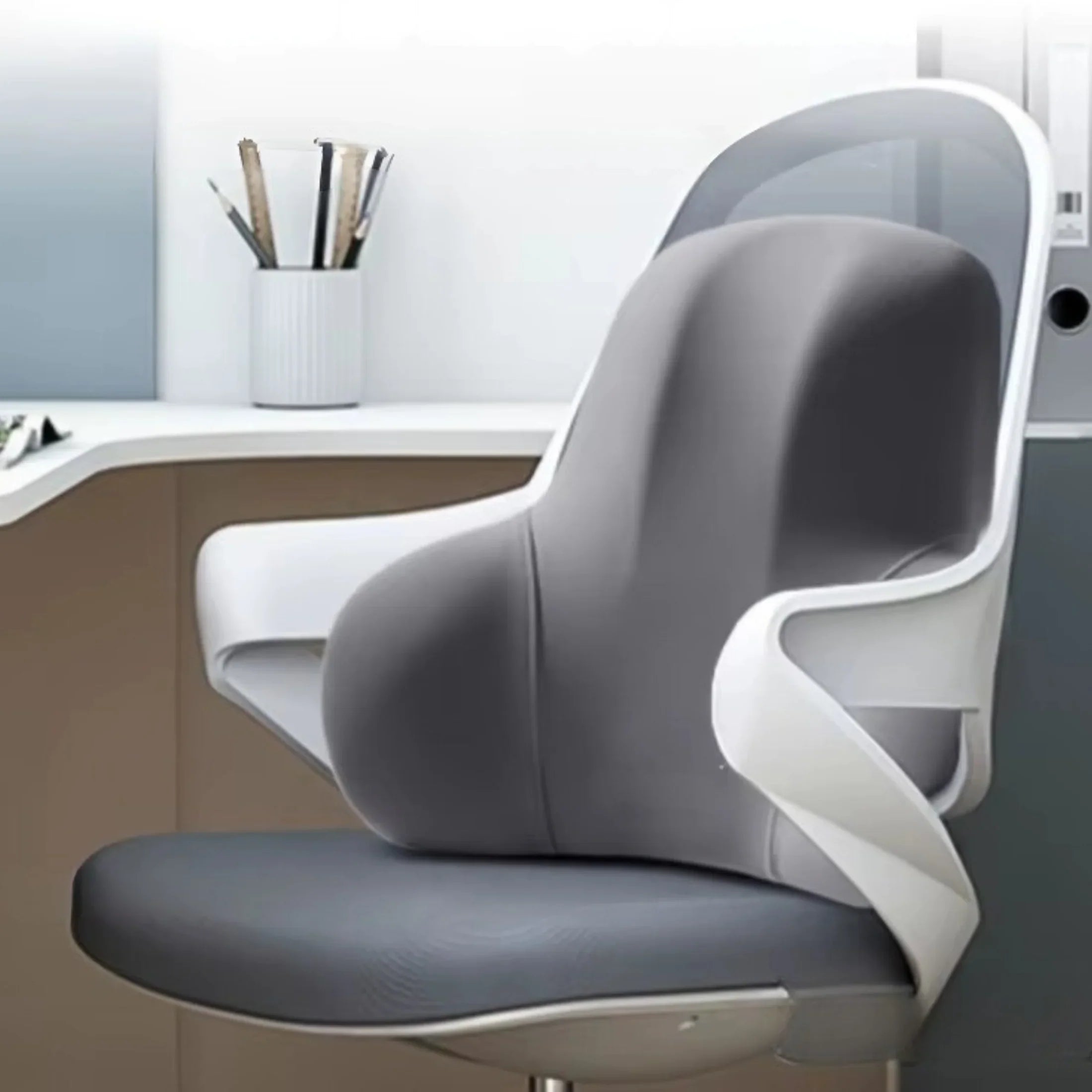 Lumbar & Seat Support Pillow