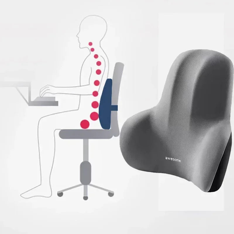 Lumbar & Seat Support Pillow