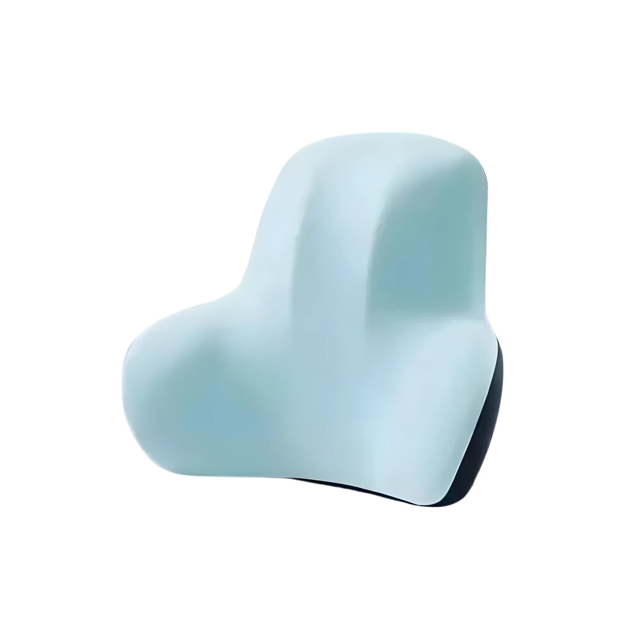 Lumbar & Seat Support Pillow